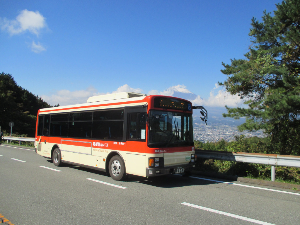 tozanbus
