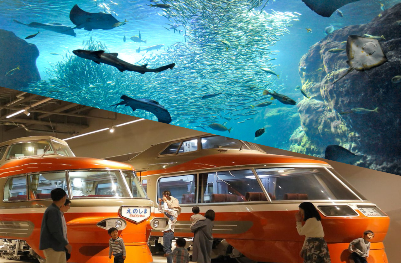 新江ノ島水族館×ロマンスカーミュージアム」セット券 | EMot（エモット）